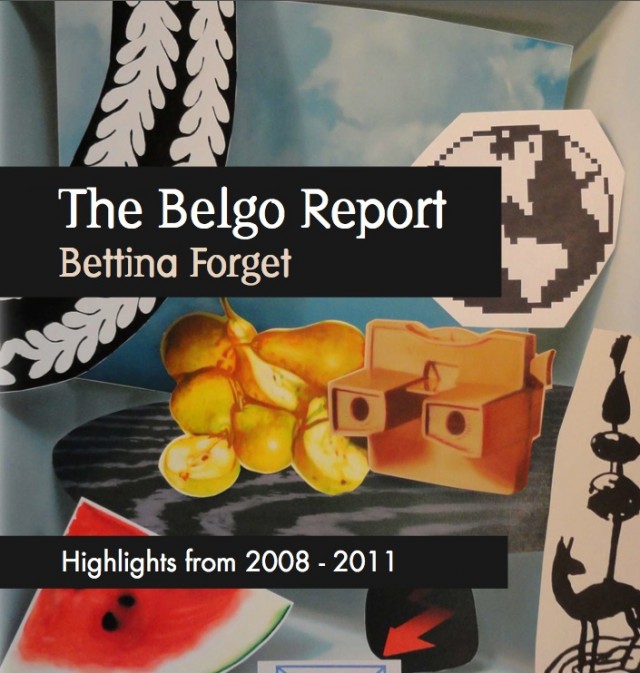 The Belgo Report book cover